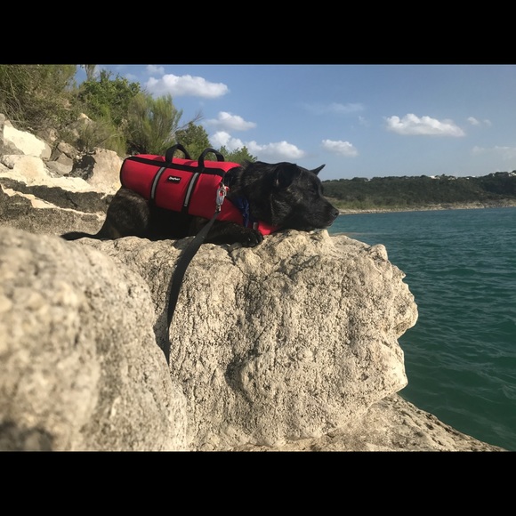 Meet your Posher, Byanca - Picture 8 of 8